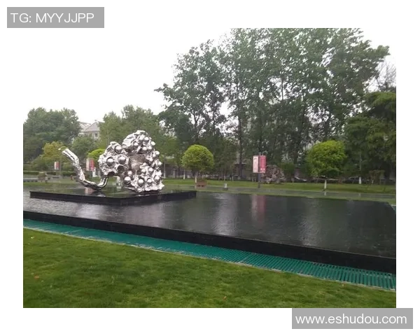 南京羽毛球队的蜕变之旅：从传统强队到现代竞技新标杆