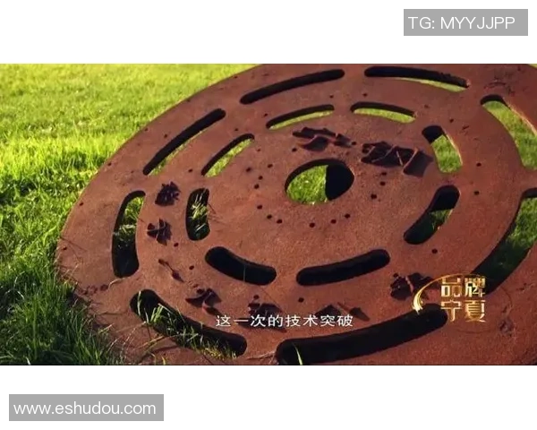 武汉足球队转型之路揭秘精英赛背后的奋斗与坚持